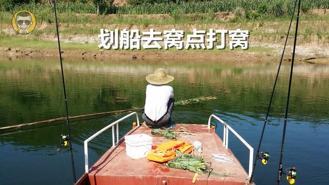 肥水草鱼窝料,综合塘草鱼窝料