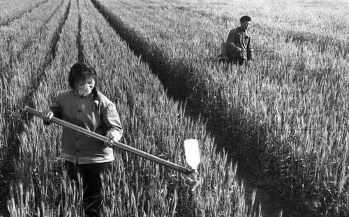老照片三井镇街道,三井老照片