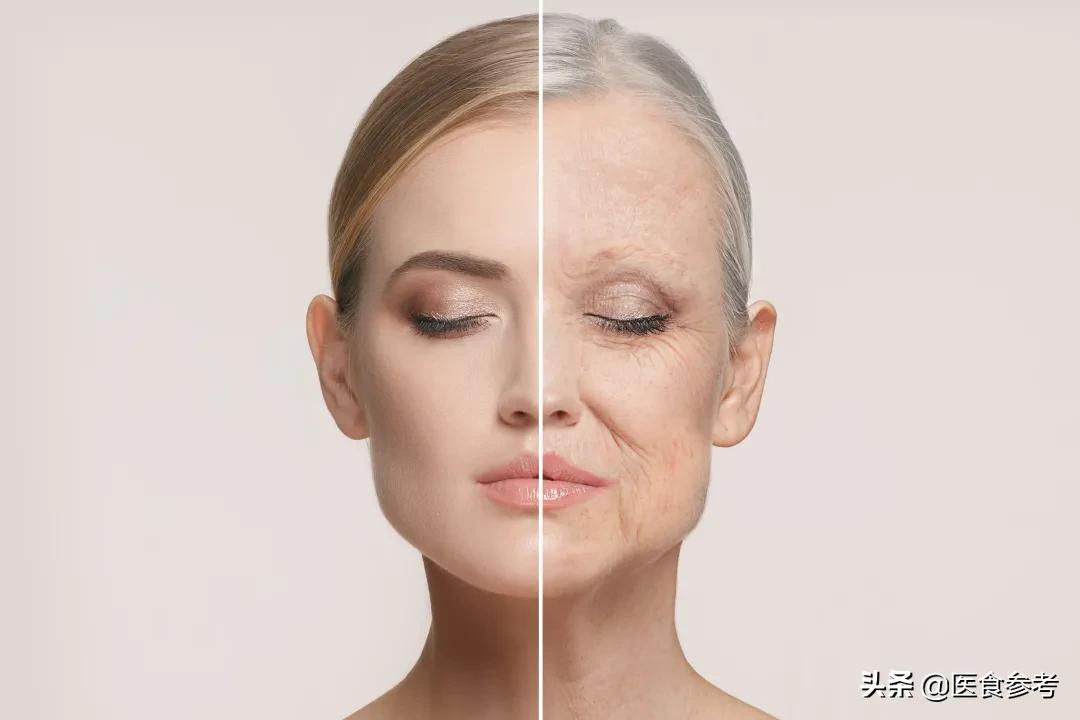 什么中药能减肥排毒排宿便,排毒养颜可以减肥