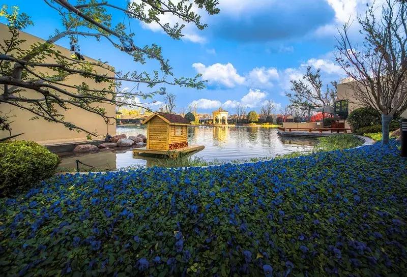 洛阳恒大绿洲澜庭房价,洛阳恒大绿洲澜庭最新进展