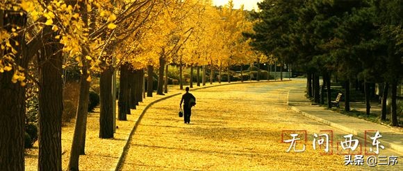 票房破十亿的电影,电影票房再破亿电影推荐