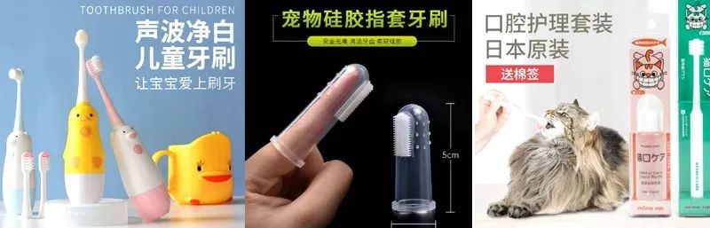 猫咪得了牙病非常危险，本文教你3步快速，让你的猫咪习惯刷牙