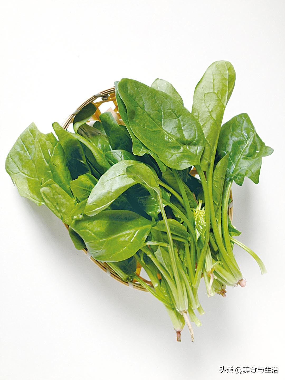 地道鲜鸡汤火锅,广东清汤鸡火锅用什么鸡最好