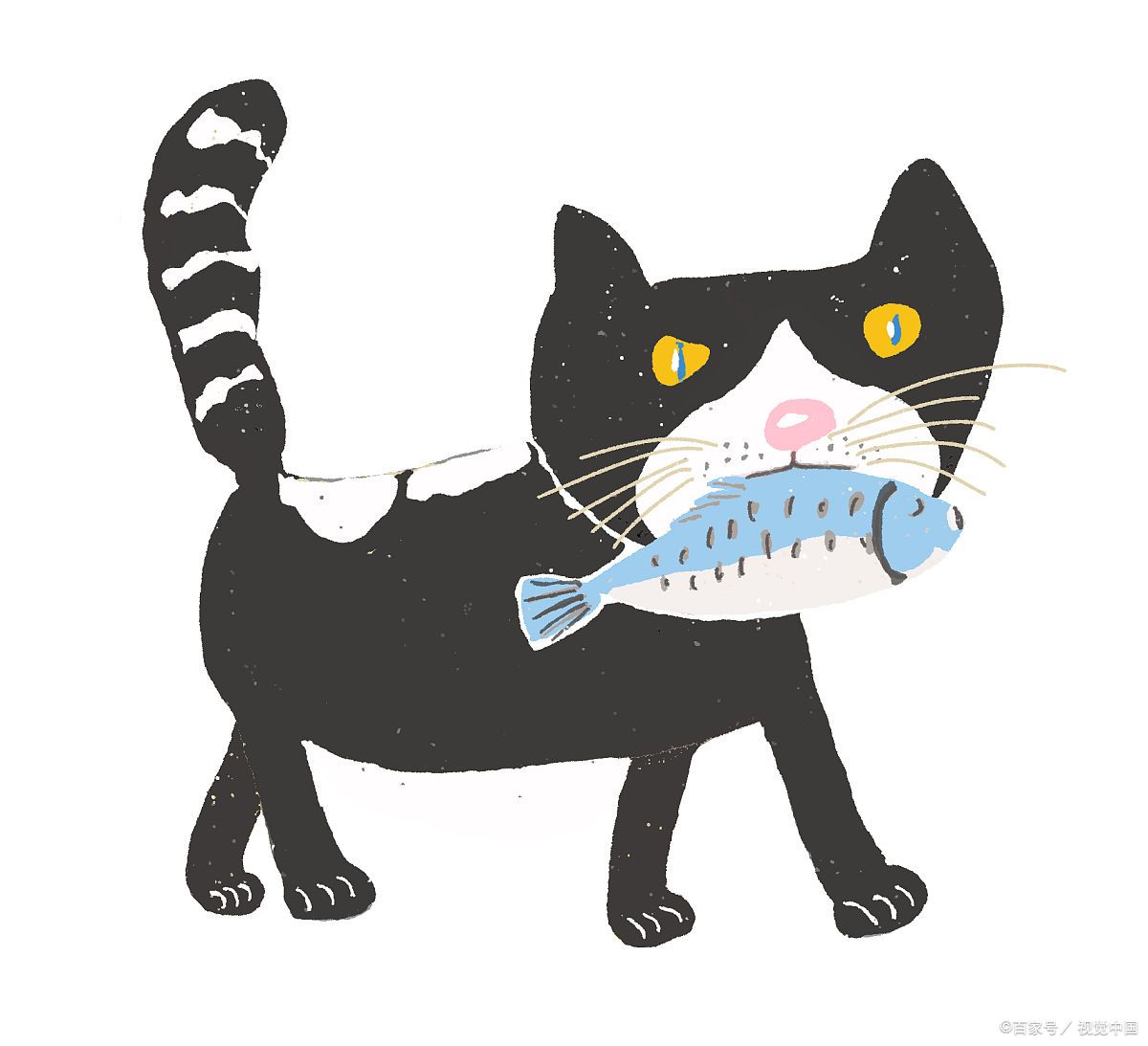 皇家猫粮是国产品牌还是进口,皇家猫粮价格