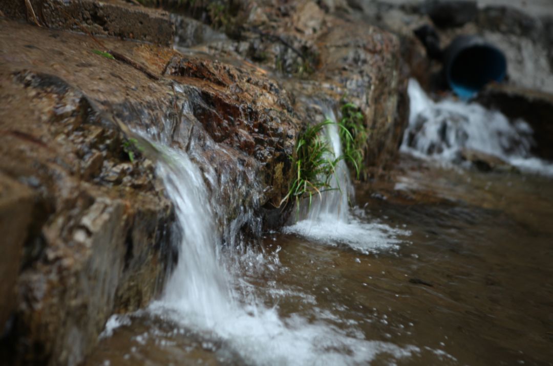 一场烟雨，把人困进仙境！藏在金华南山的这个小村，不求爆红，只求安静邂逅！