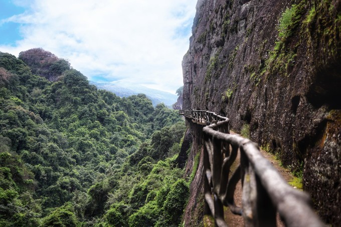 梅州采茶,梅州采茶体验