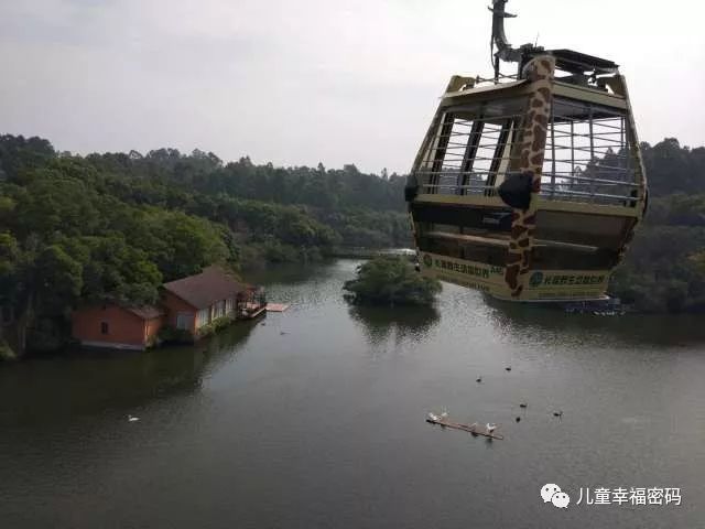 珠海长隆和广州长隆亲子游攻略,长隆野生动物园亲子游最佳攻略