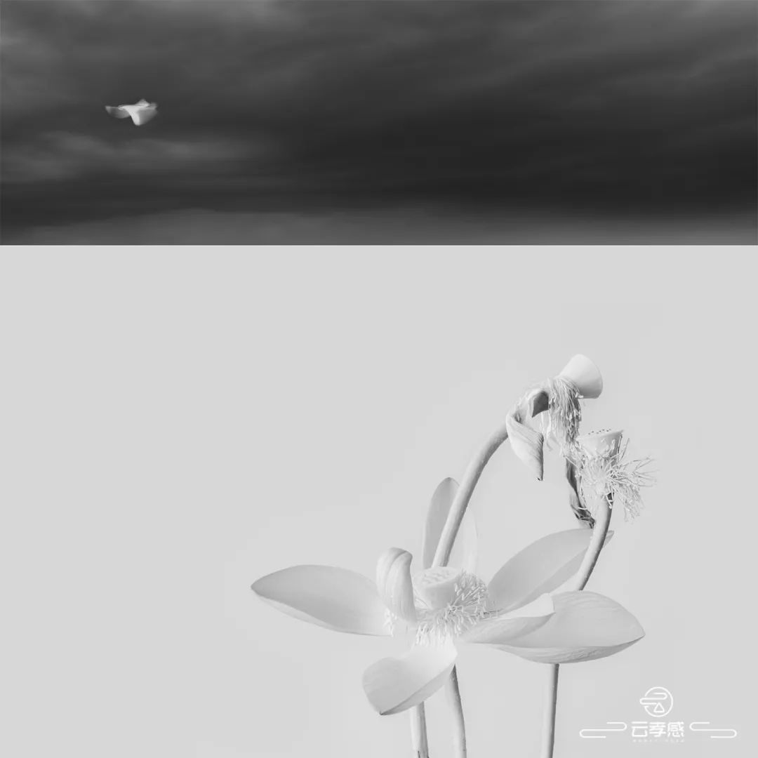 李鸿飞摄影作品初春,李鸿飞画家