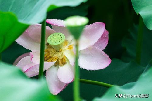 相机错误设置方法,相机拍照问题及解决办法