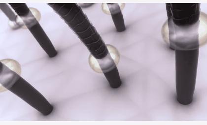 洗发水小众品牌便宜好用,洗发水哪些牌子不合格