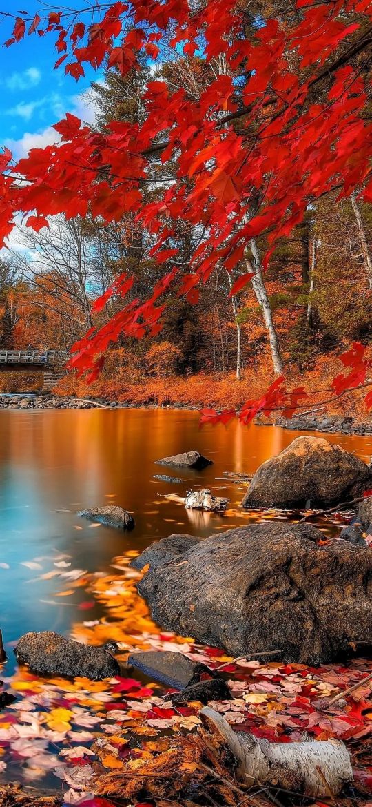 100张田园风光自然风景全屏壁纸,1亿像素8k超逼真电脑壁纸全屏风景