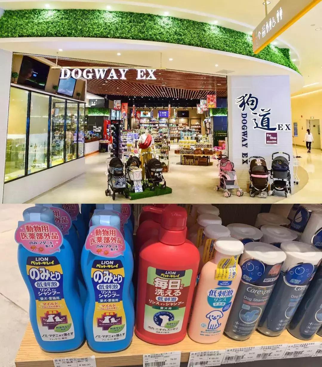 开宠物店一个月可以赚多少钱,揭秘宠物店是怎么赚钱的