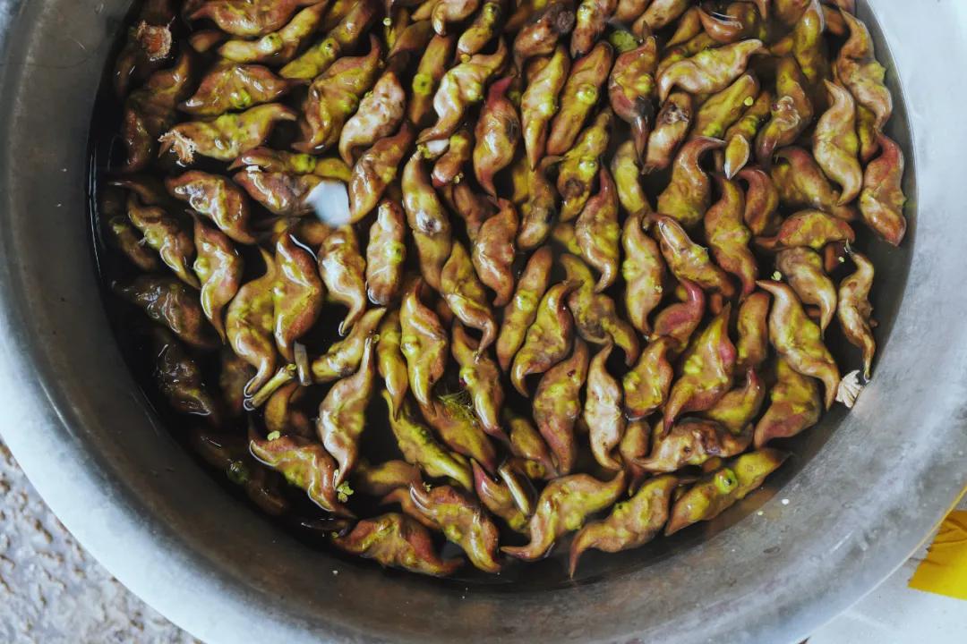 探苏州年轻人最爱逛的菜市场,苏州人气最旺的菜市场