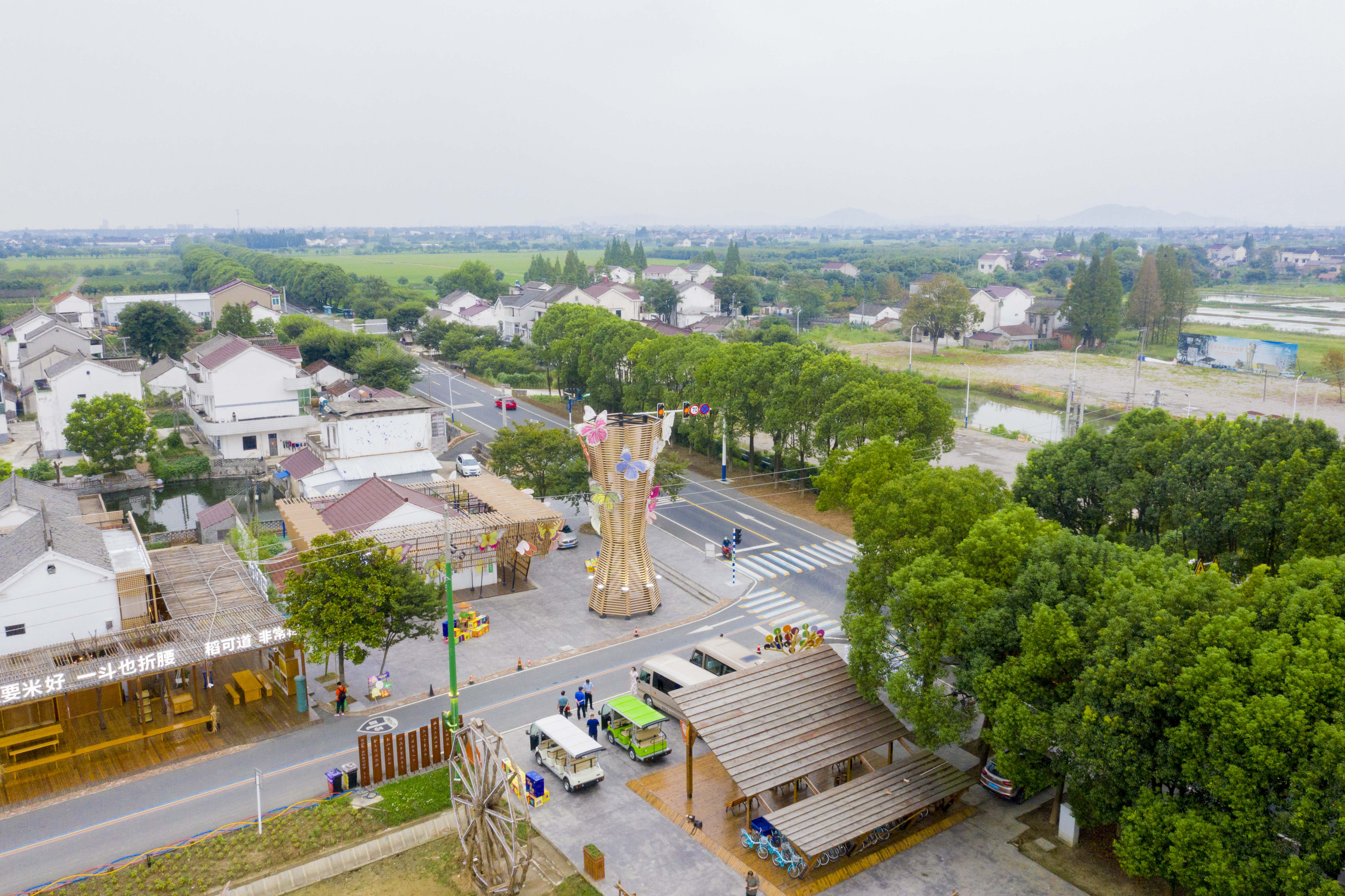 良田沃野蝶飞蜂拥，溧阳网红庆丰村的C位出道之路，果然迷人诱人