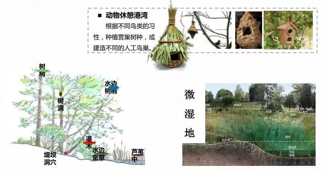 @CBD白领，来遛弯吧！2.5个足球场那么大，就在公司楼下