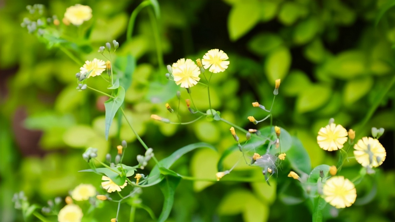 一句话励志评语简短精辟,50句最著名的励志评语
