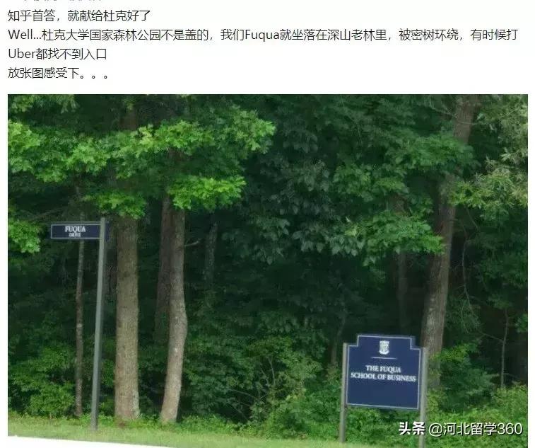 培养出苹果CEO的杜克是怎样一所大学？