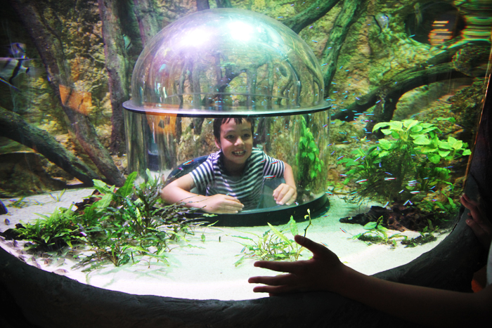 全世界的乐高乐园,全世界9个乐高乐园