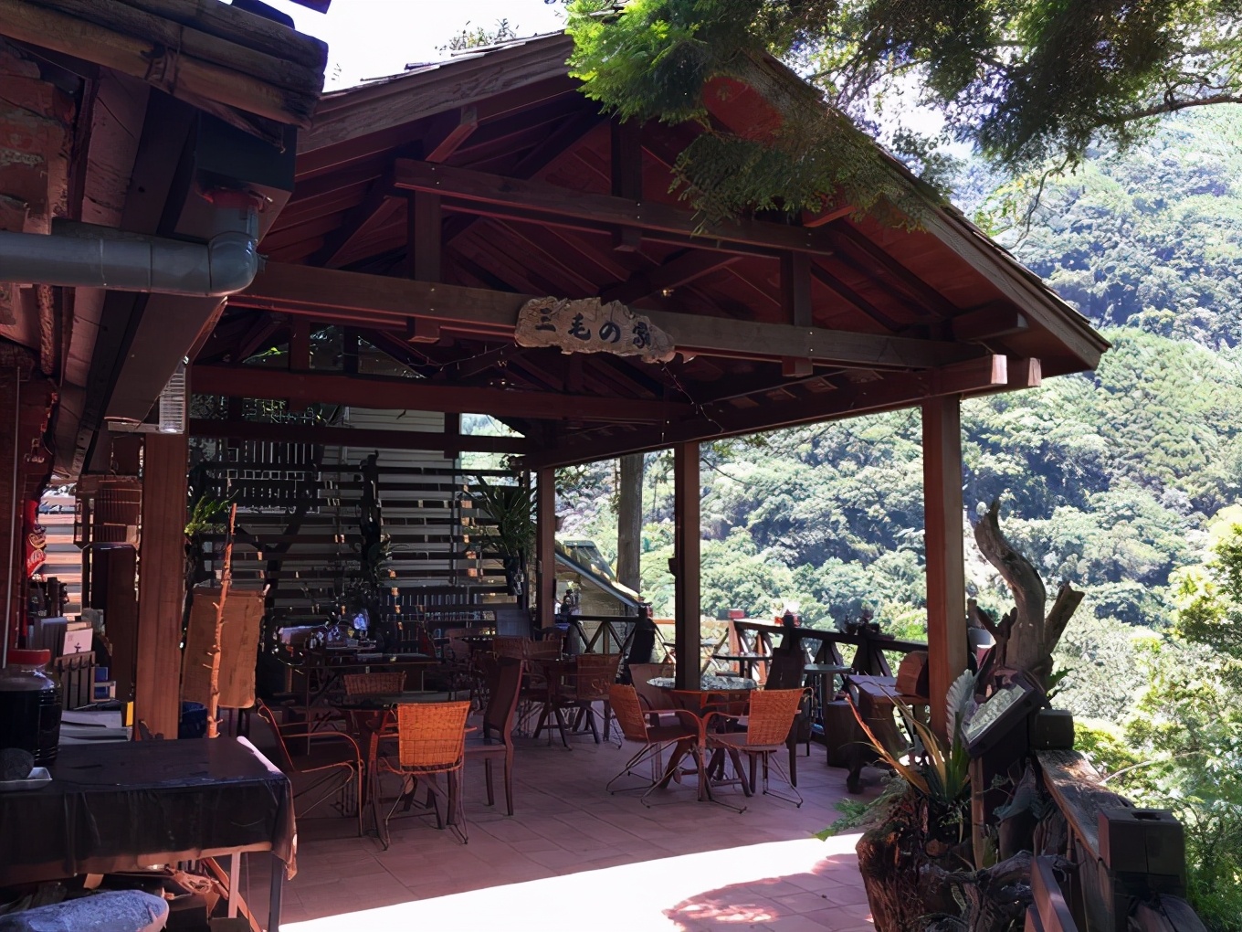 三毛流浪记原版,三毛的流浪记照片