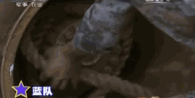 中国汽车兵,汽车兵身份地位