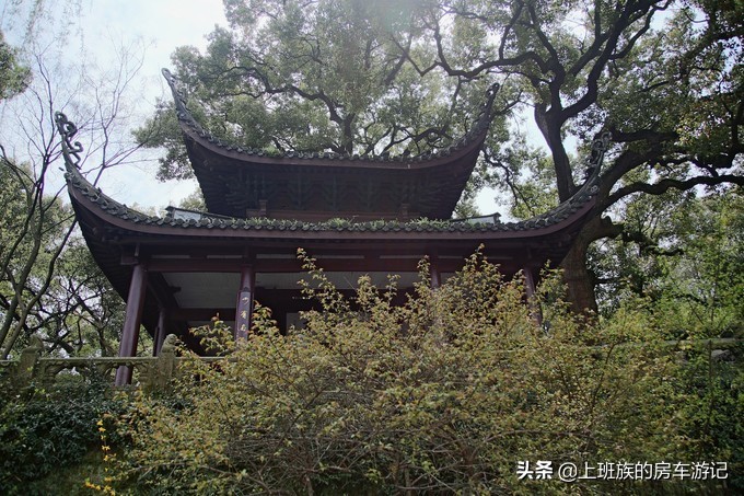 周末微旅行：秦望山麓访名校，白沙堤岸醉桃柳（第二季）