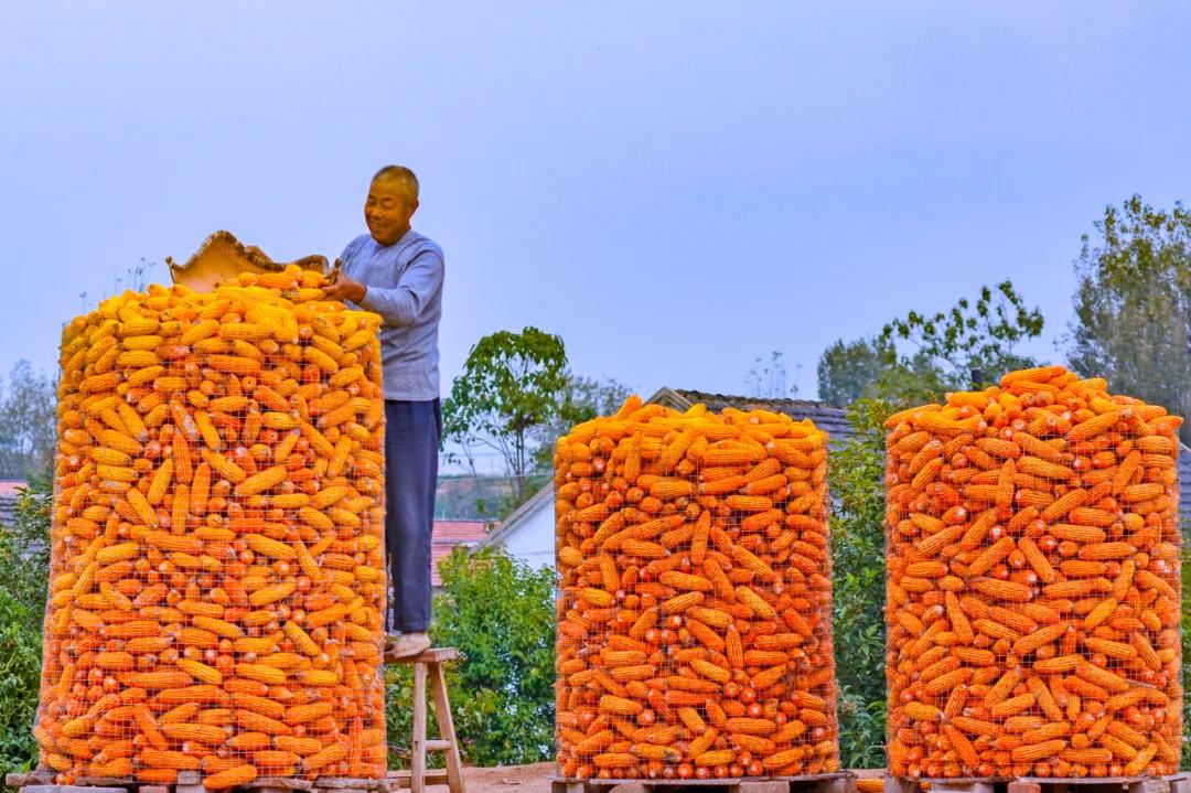 东港这么美！我要去看看