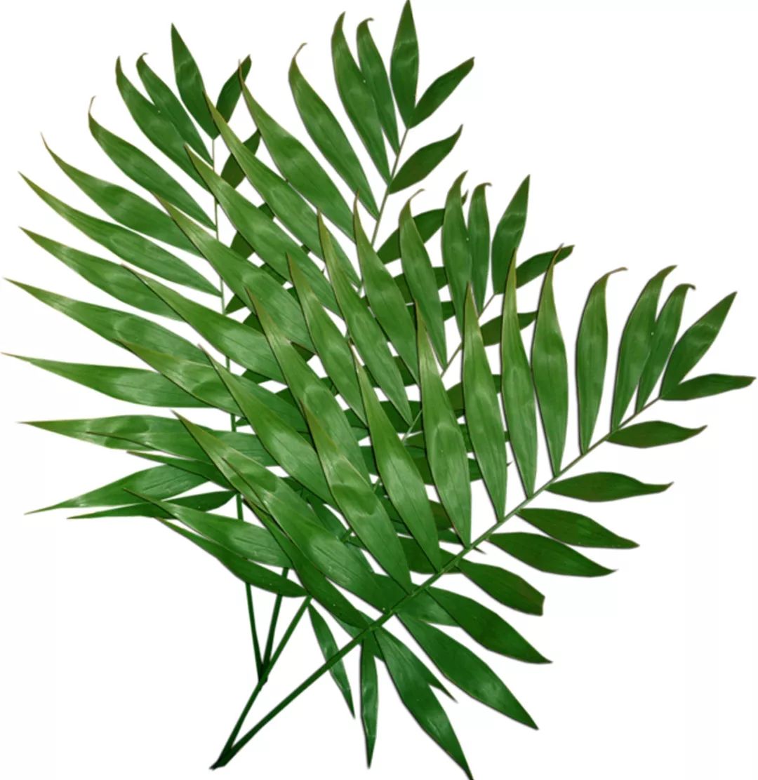 鲜丰水果加盟有没有套路,鲜丰水果现在加盟还能赚钱吗