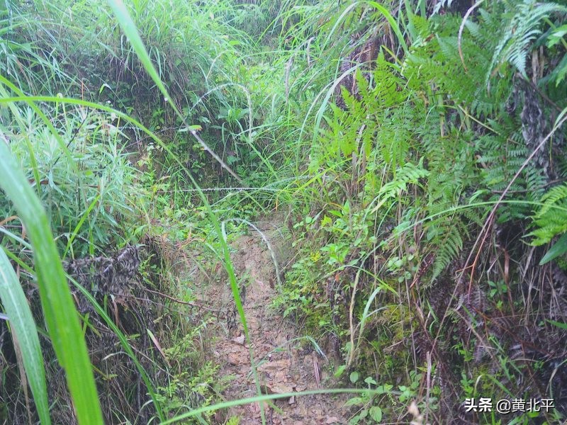 贵州遵义安场古道,贵州正安羊角老古道
