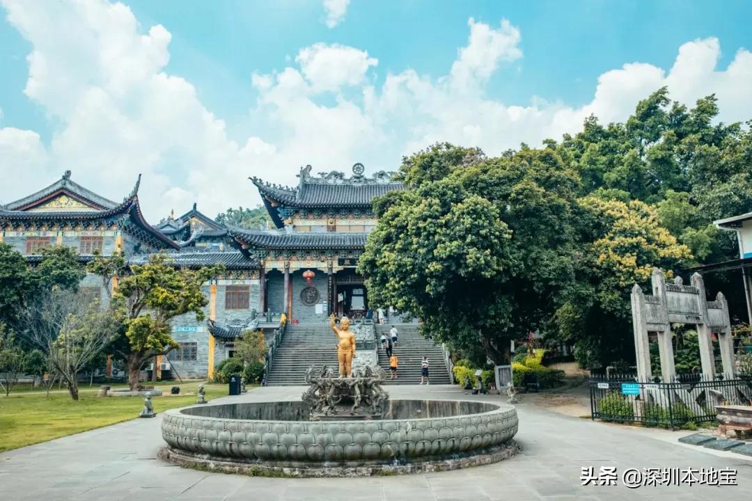 深圳完全免费的十大景点,深圳10大免费景点上集