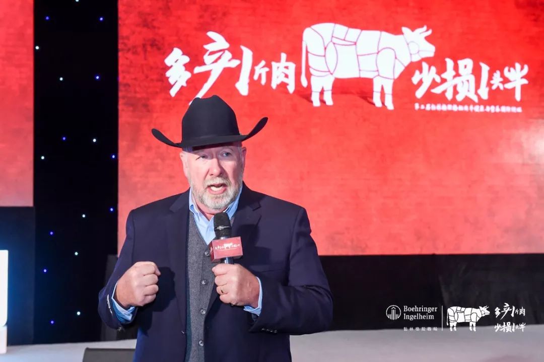 这一次，风口上站的是肉牛