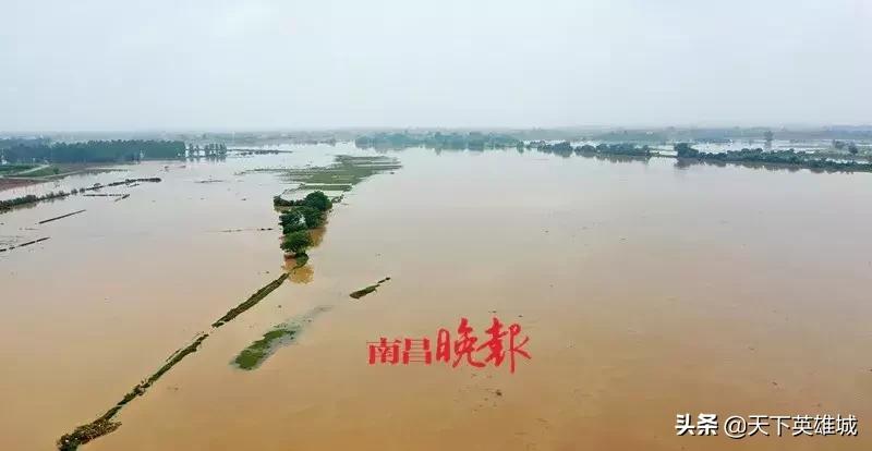 南昌天气反转视频,南昌天气又要反转