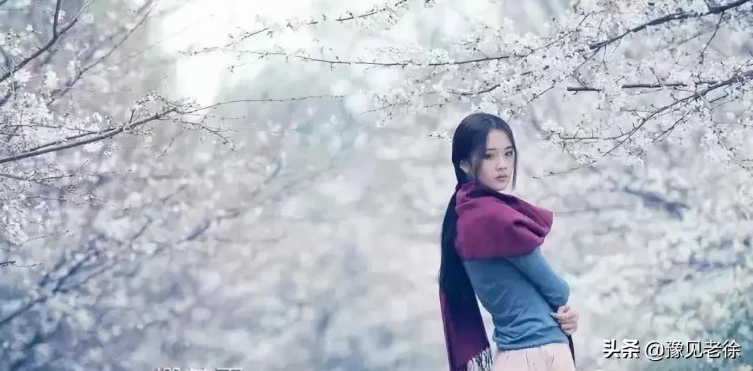 南阳赏花最佳地点,南阳春天赏花的地方有哪些推荐