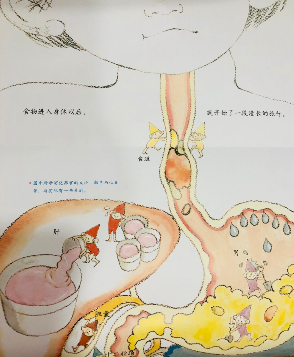 关于拉便便的绘本故事,娜娜拉便便绘本故事