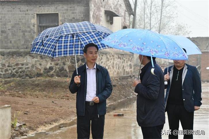 罗山粮食收购情况,秋粮收购工作的安全措施