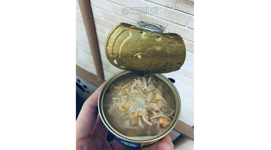 猫吃主食罐头好还是猫粮好,猫零食罐头和主食罐头的区别