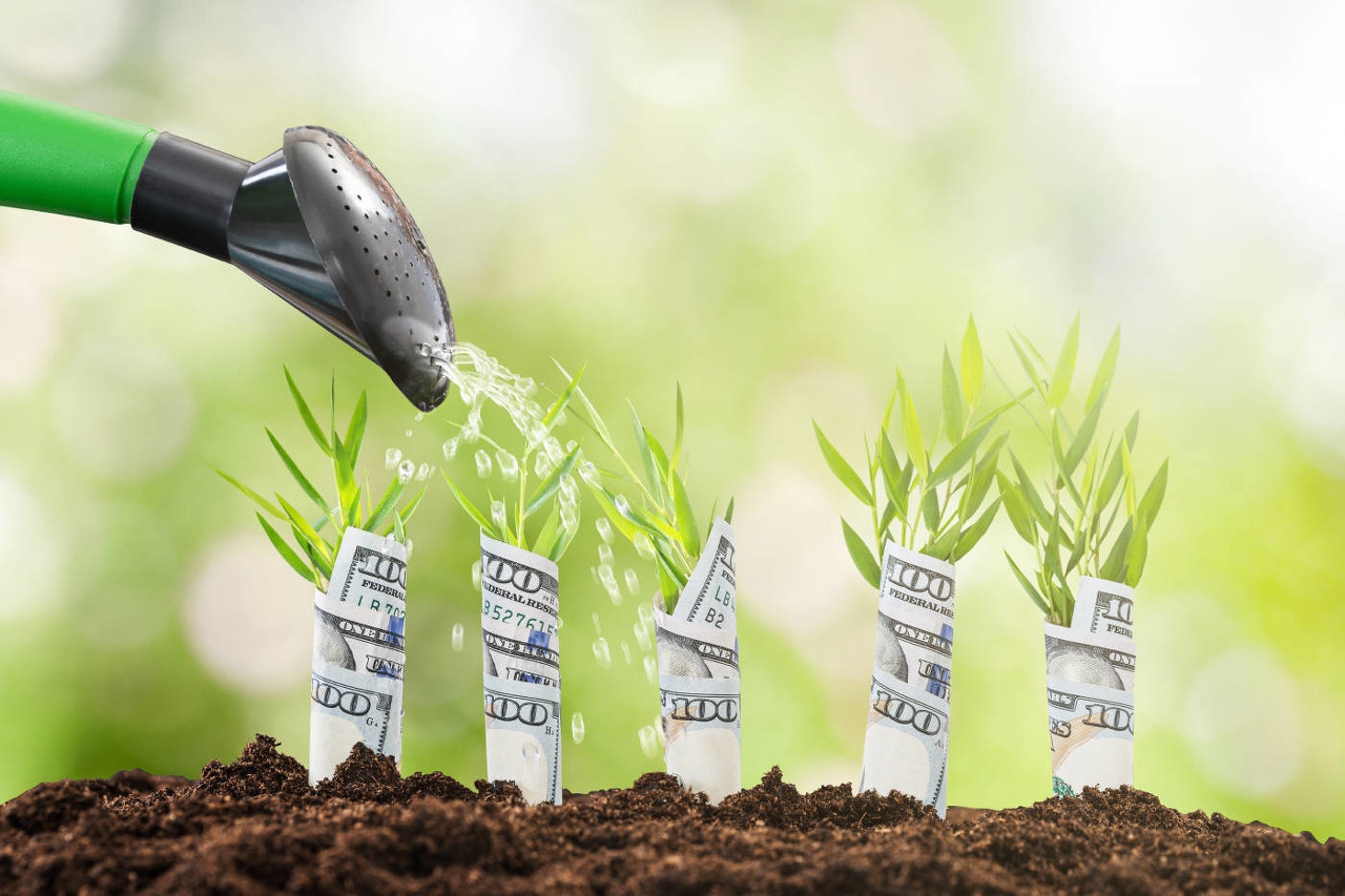 农业致富四句话,一句话介绍农村致富创业项目