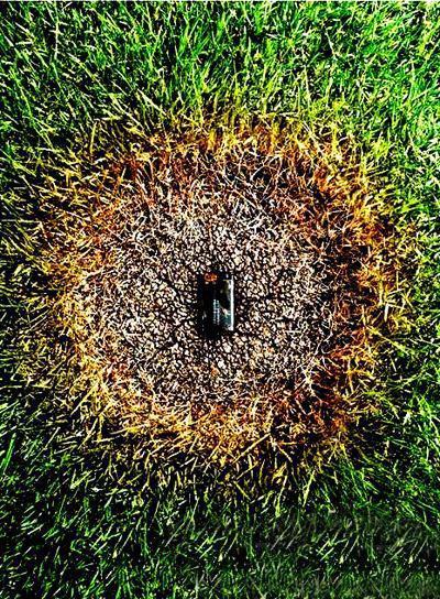 南孚充电电池数码型和耐用型,南孚电池真的一节更比六节强