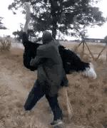 上厕所没有厕纸只能用绳子,上厕所没有卫生纸能用吗