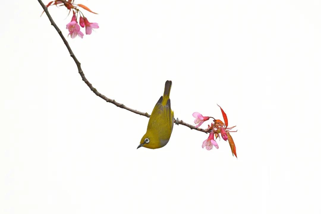 香港第14届全国摄影艺术展,第29届全国摄影艺术展览获奖名单