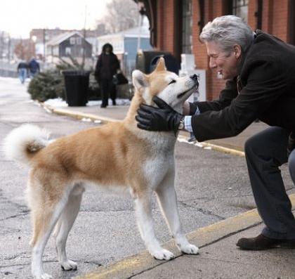 世上最罕见的狗品种图片,全世界狗品种视频