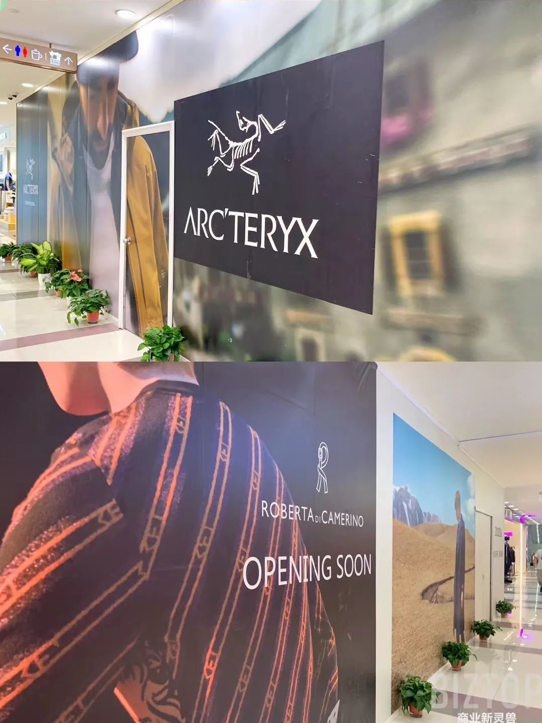 西安赛格品牌大升级！瑞幸和COACH做邻居，西安商业8月迷幻现实