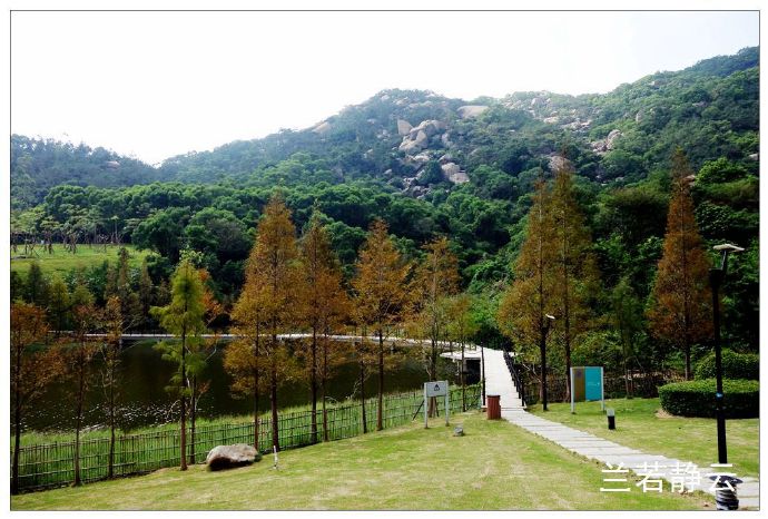 厦门国家会计学院校园,厦门国家会计学院漂亮吗