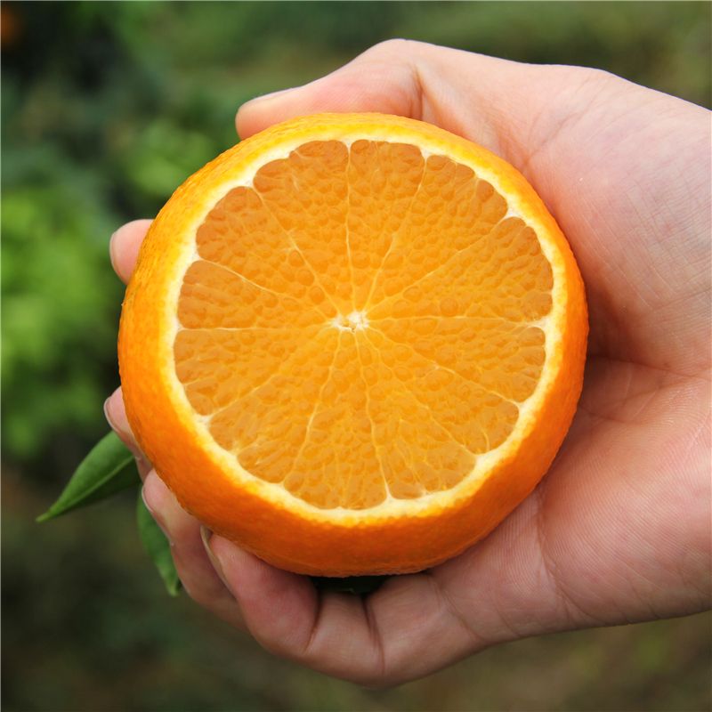 止咳可以吃糖吗,止咳可以吃柿子吗