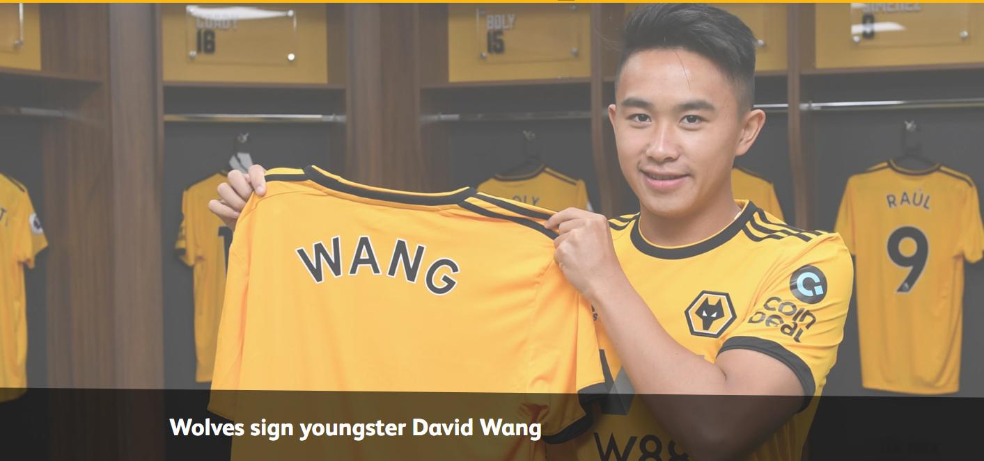 王佳豪足球运动员,王嘉豪英超