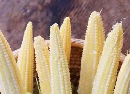 玉米笋怎么做法才好吃,玉米笋儿怎么做好吃