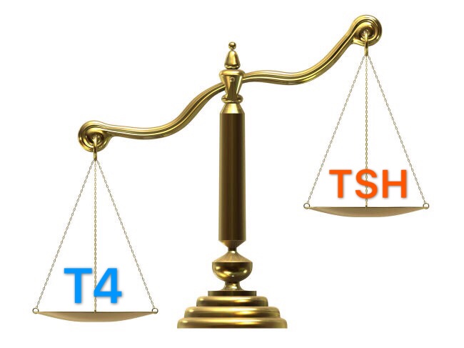怀孕后促甲状腺激素会升高吗,为什么怀孕后促甲状腺激素会升高