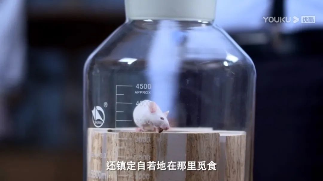 谁才是真正的环保板材,环保板材实测