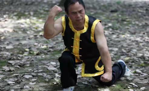 中华武术传承点穴,中华武术秘传全部文档