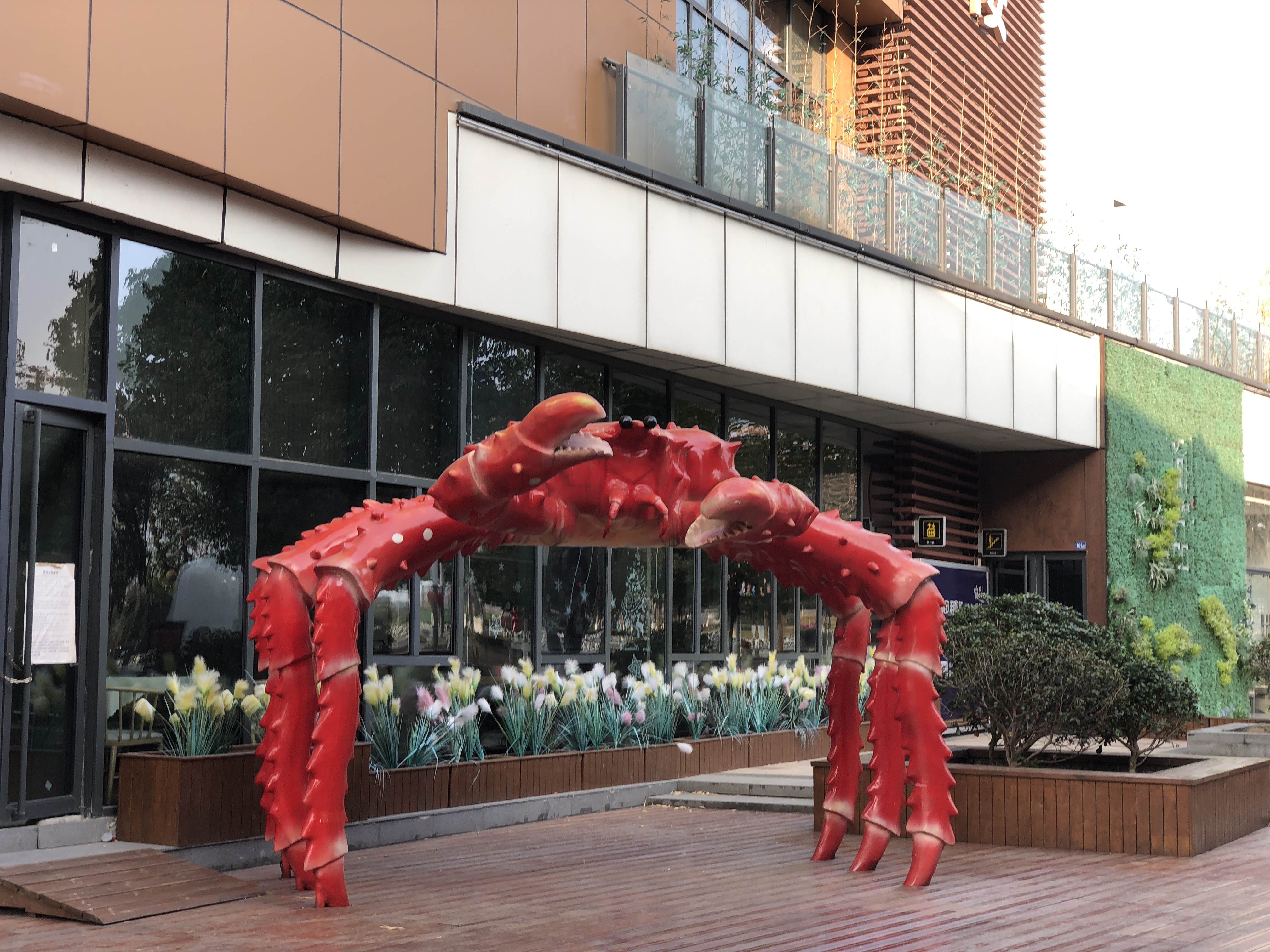 不服周的武汉人,不服周