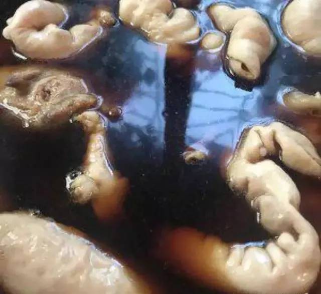 猪大肠的卤制方法和配方,猪大肠的卤制方法及配方